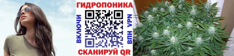 Купить закладки  Тулун  Канабис Amnesia 